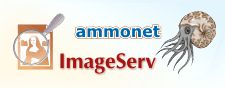 ammonet ImageServ